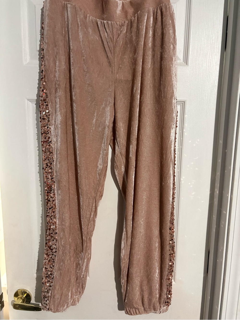 Taupe Velvet Sequin-Trim Jogger Pants